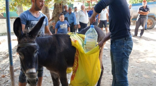 İzmir'in "susuz mahallesinde" eşeklerle su taşınıyor